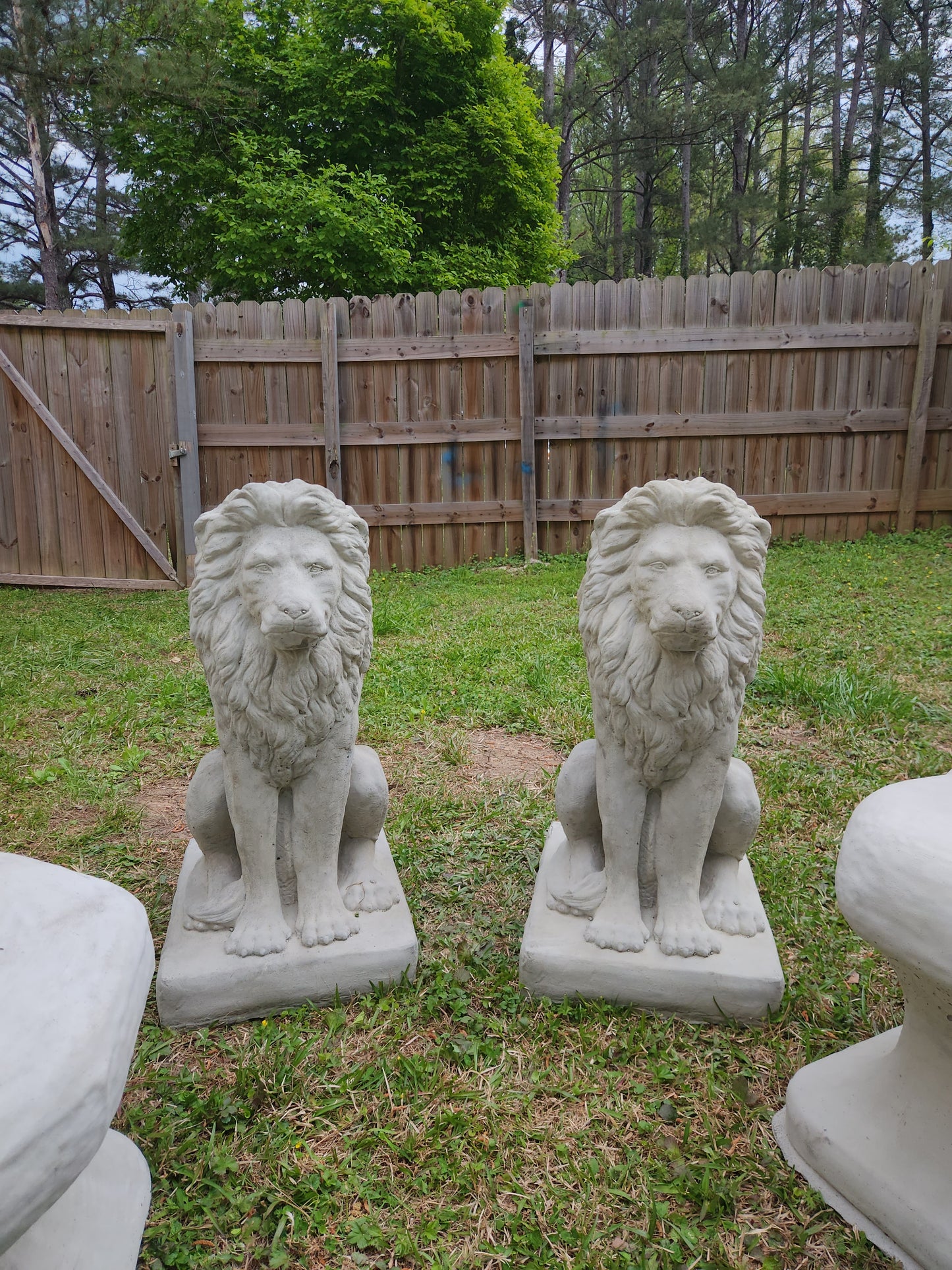 Estate Lions Concrete Statues, Set of 2