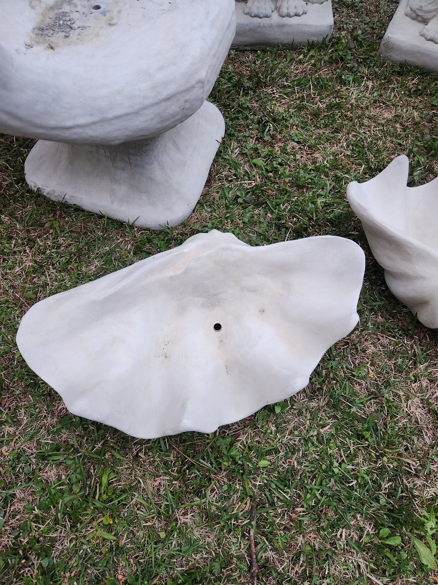 Clam Shell Concrete Planter, XL
