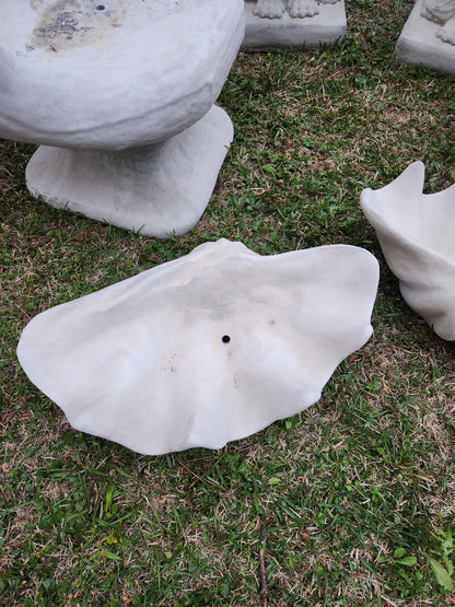 Clam Shell Concrete Planter, XL