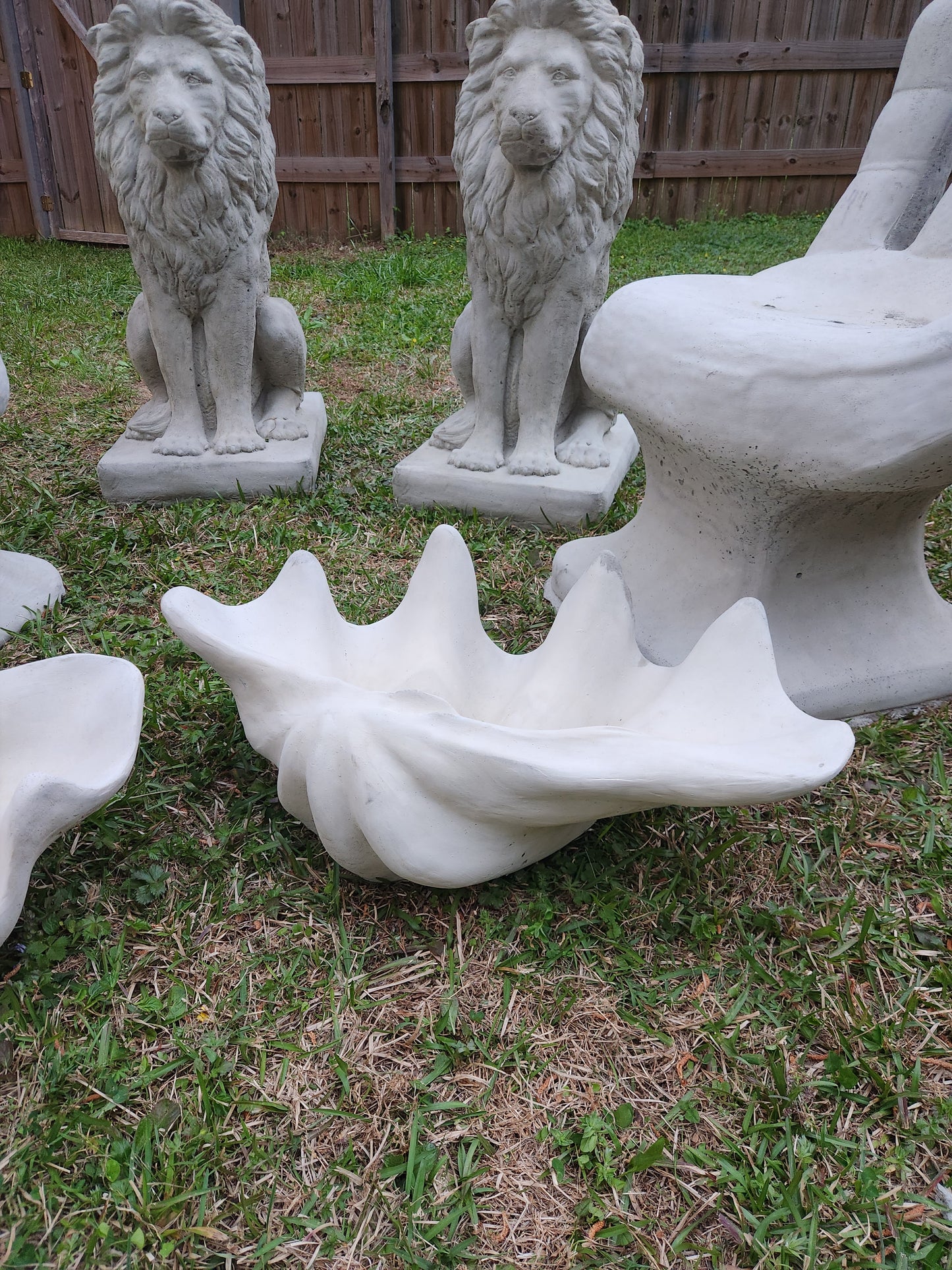 Clam Shell Concrete Planter, XL