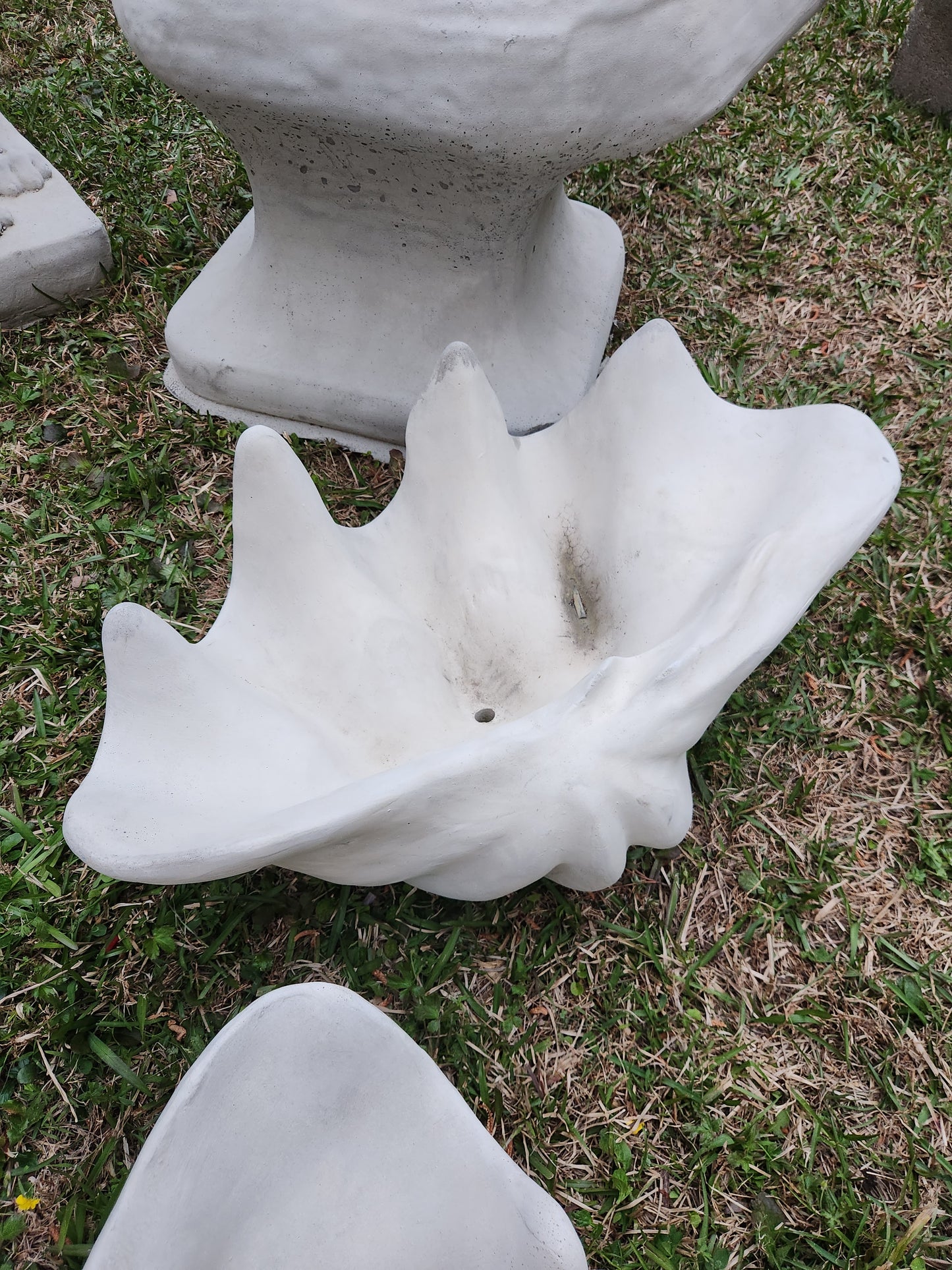 Clam Shell Concrete Planter, XL