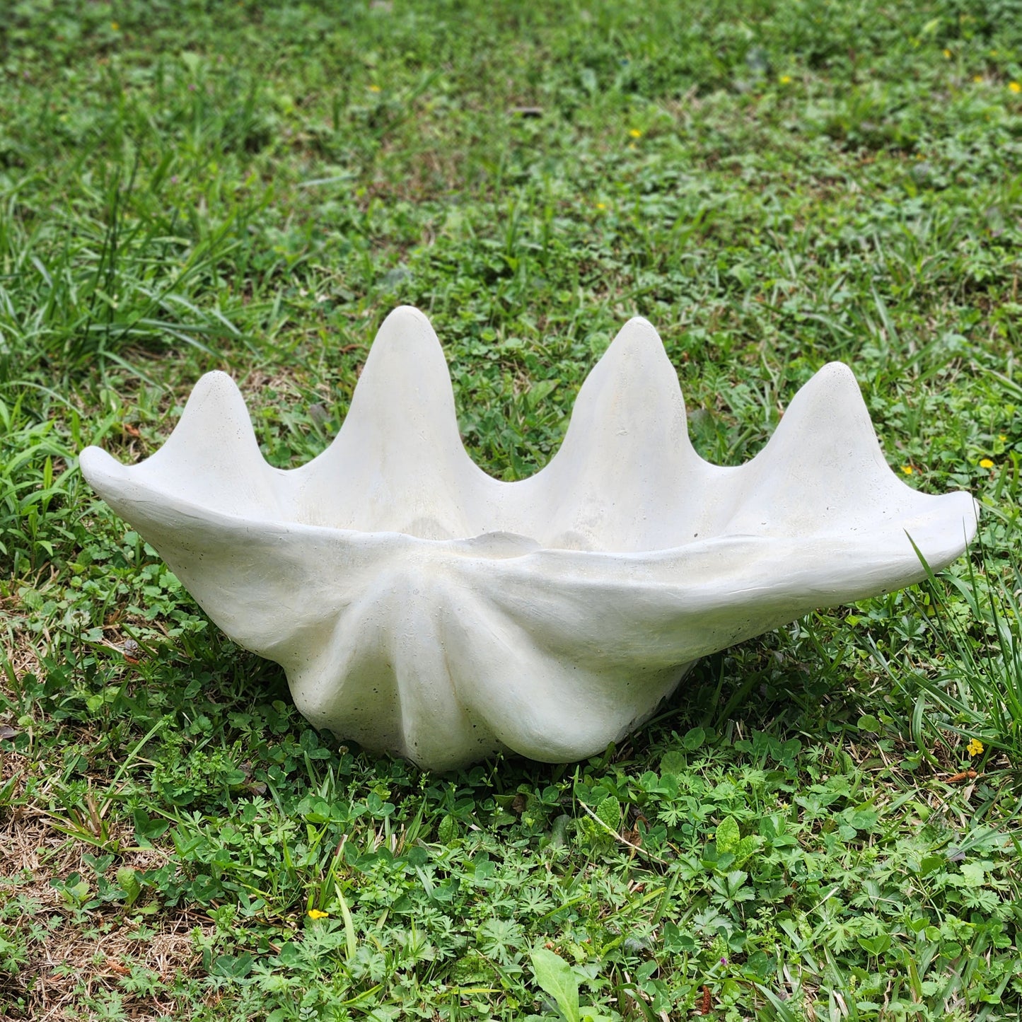 Clam Shell Concrete Planter, XL