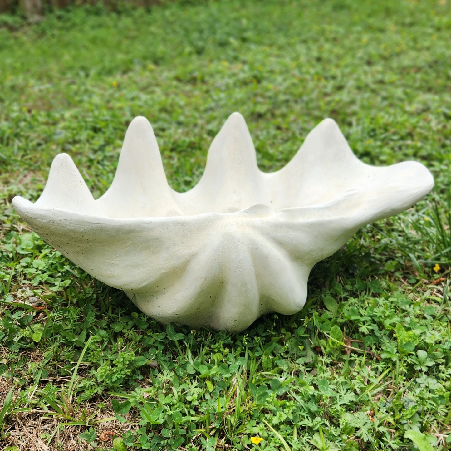 Clam Shell Concrete Planter, XL