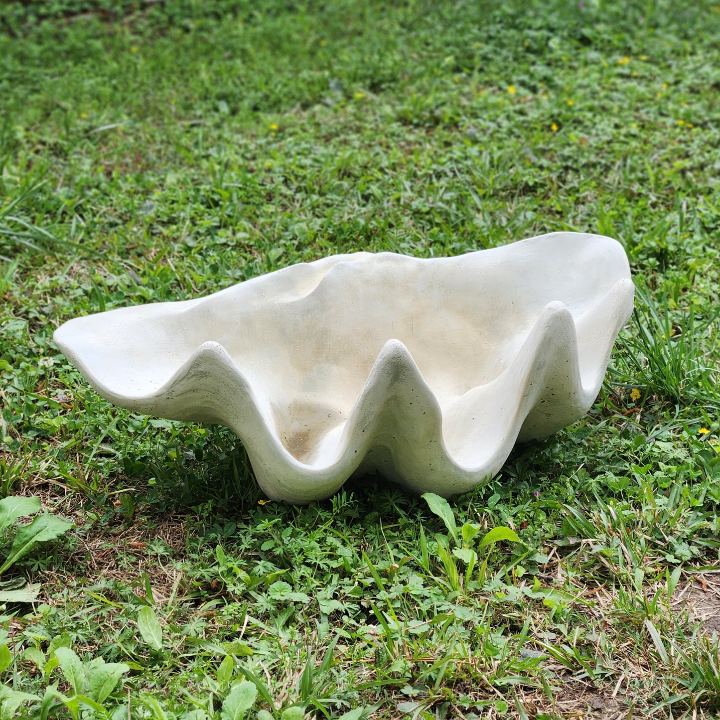 Clam Shell Concrete Planter, XL