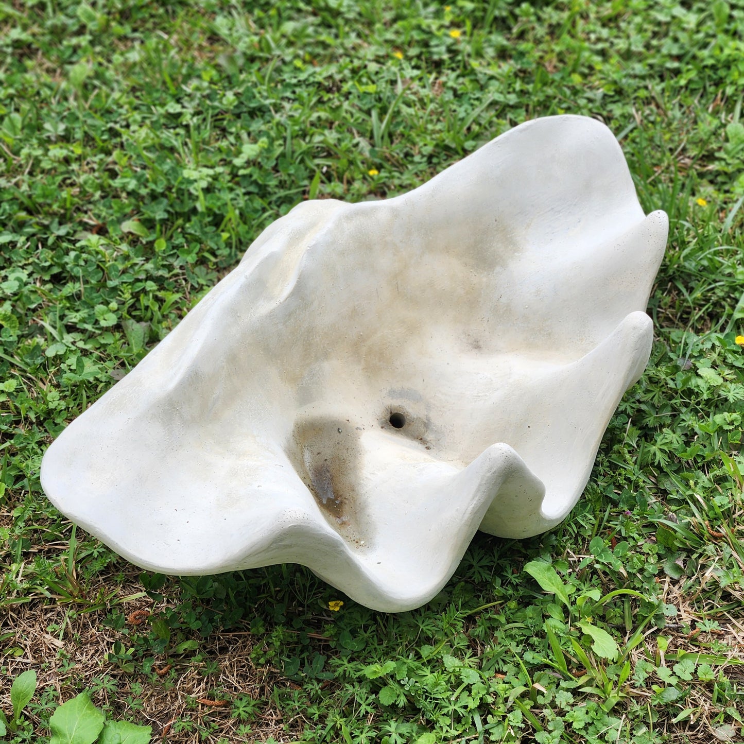 Clam Shell Concrete Planter, XL