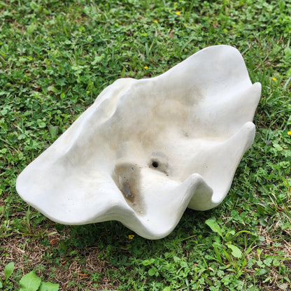 Clam Shell Concrete Planter, XL