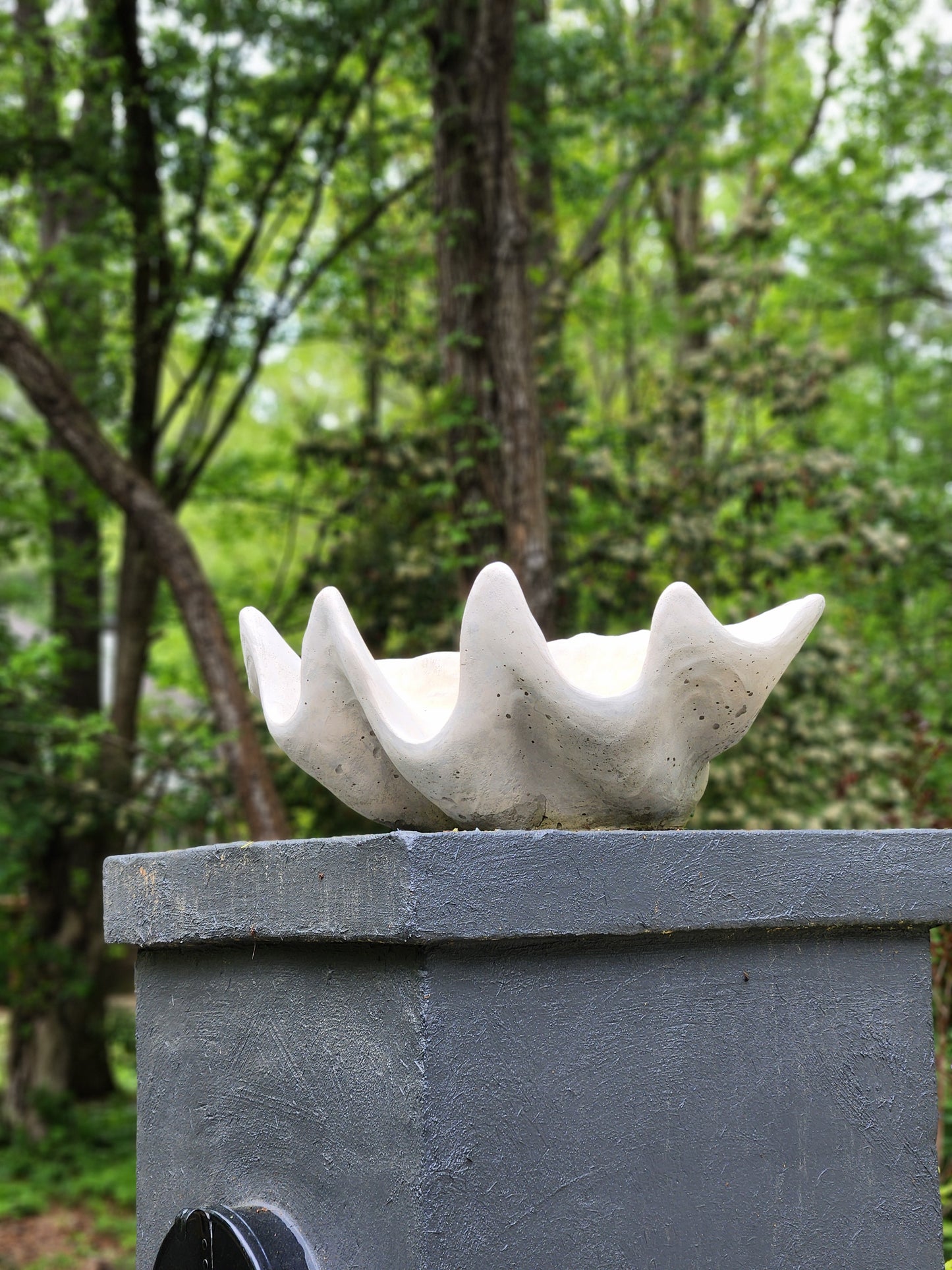 Clam Shell Concrete Planter, XL