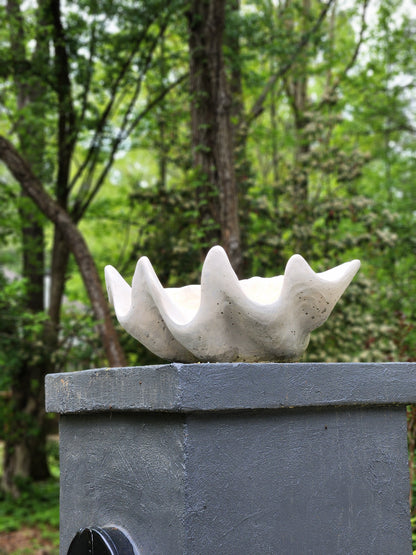 Clam Shell Concrete Planter, XL