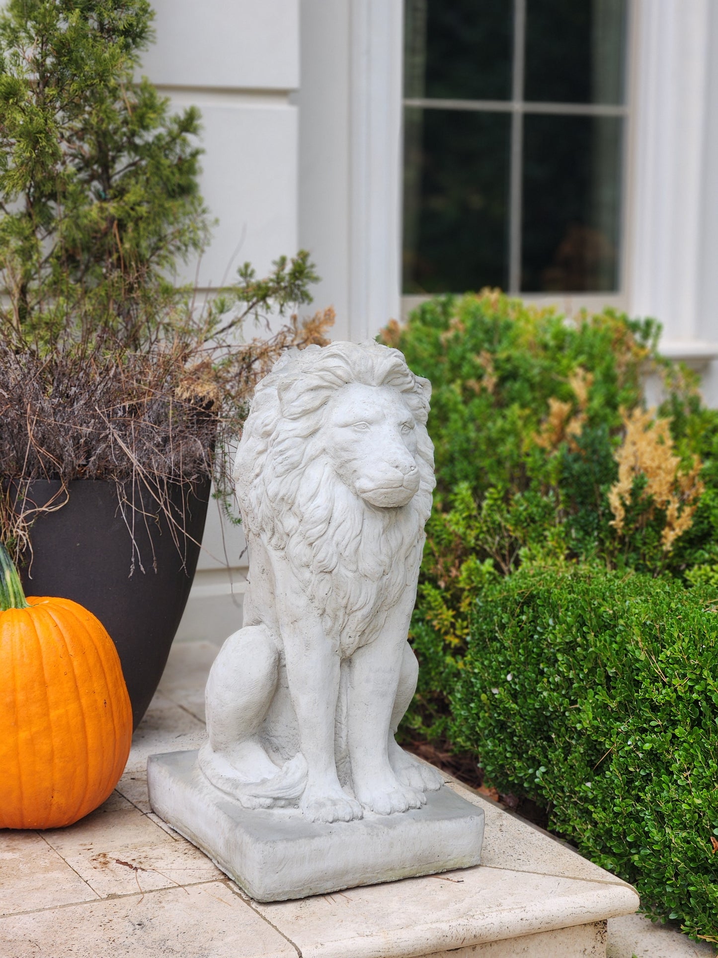 Estate Lions Concrete Statues, Set of 2