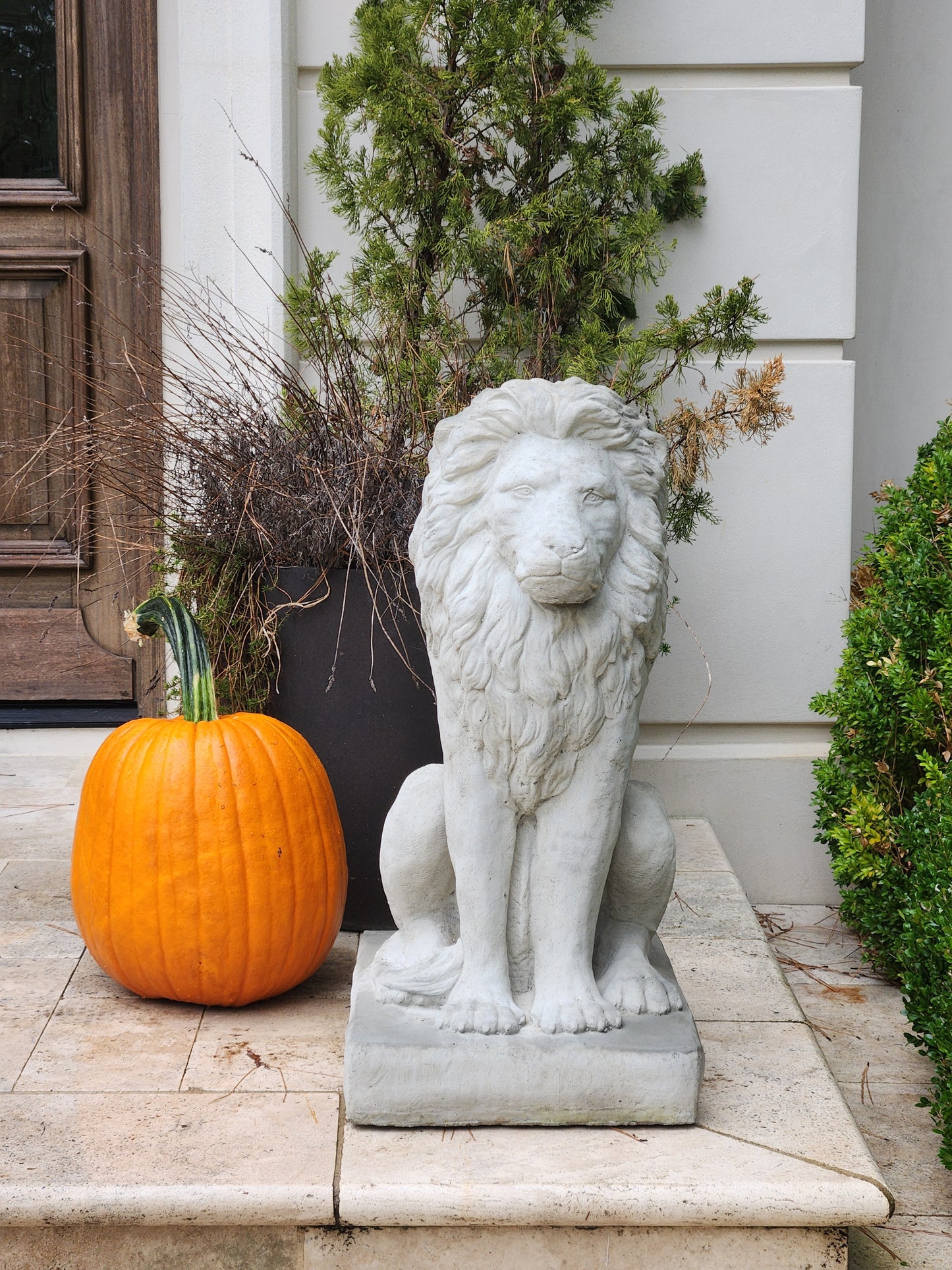 Estate Lions Concrete Statues, Set of 2