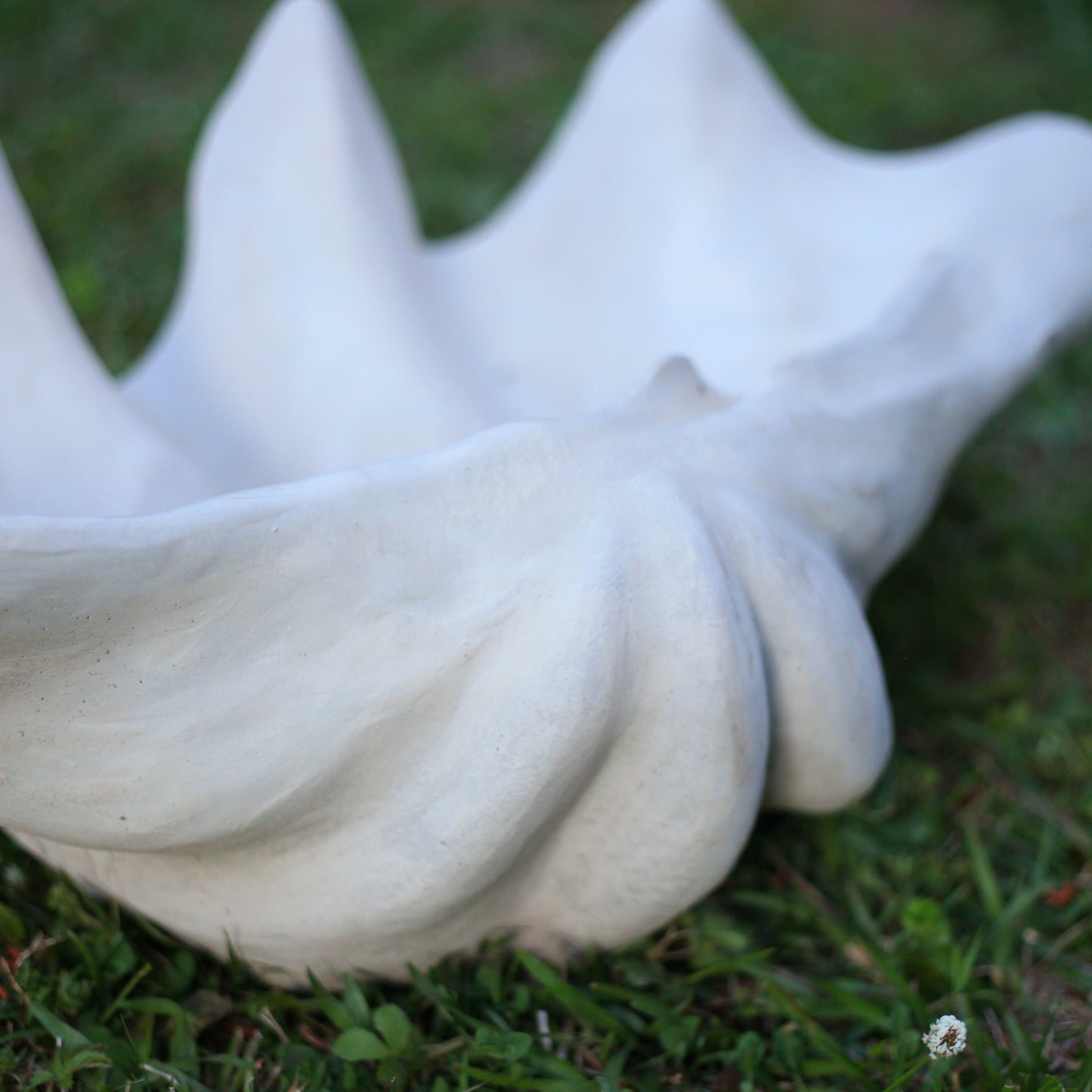 Clam Shell Concrete Planter, XL