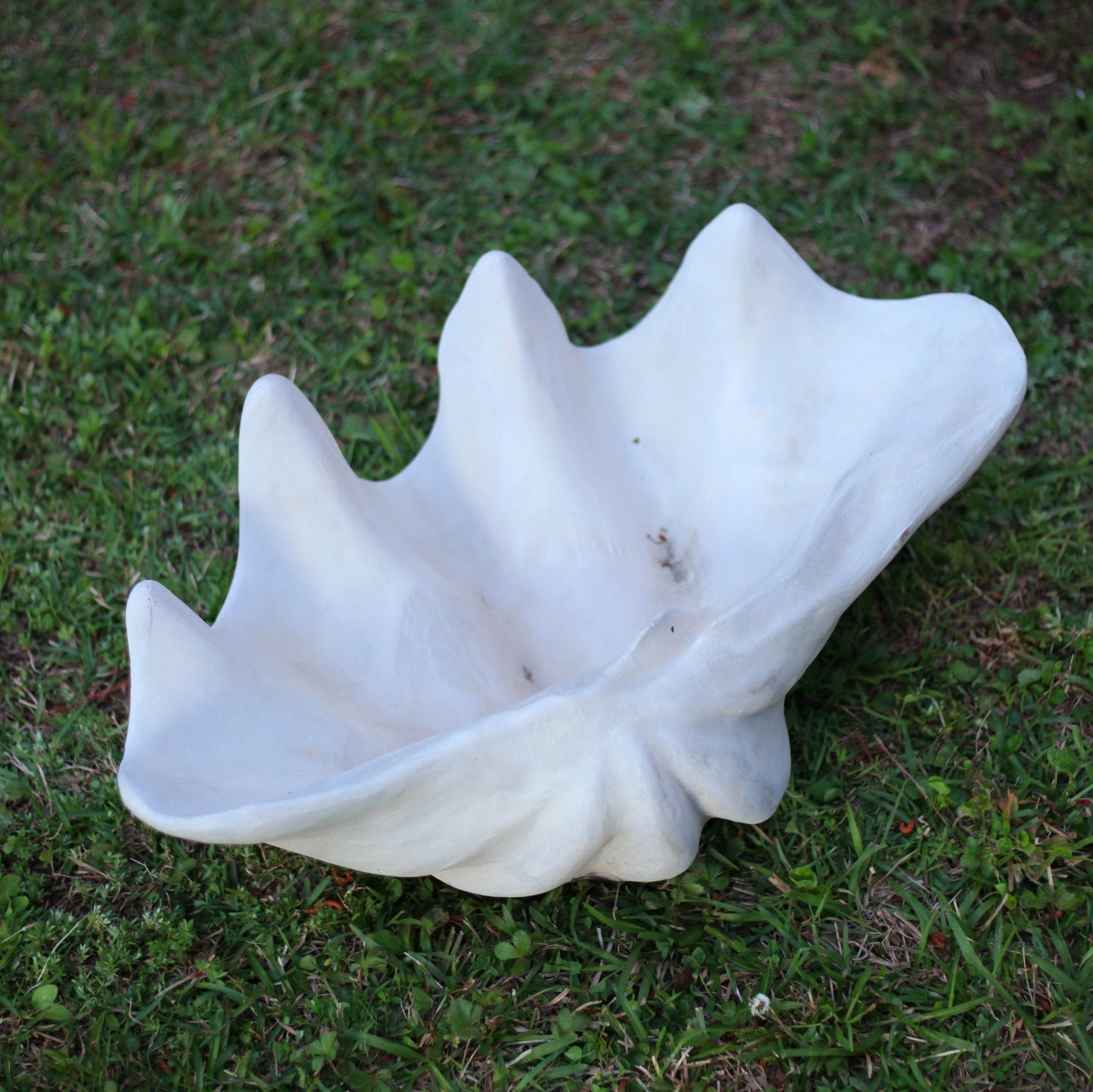 Clam Shell Concrete Planter, XL