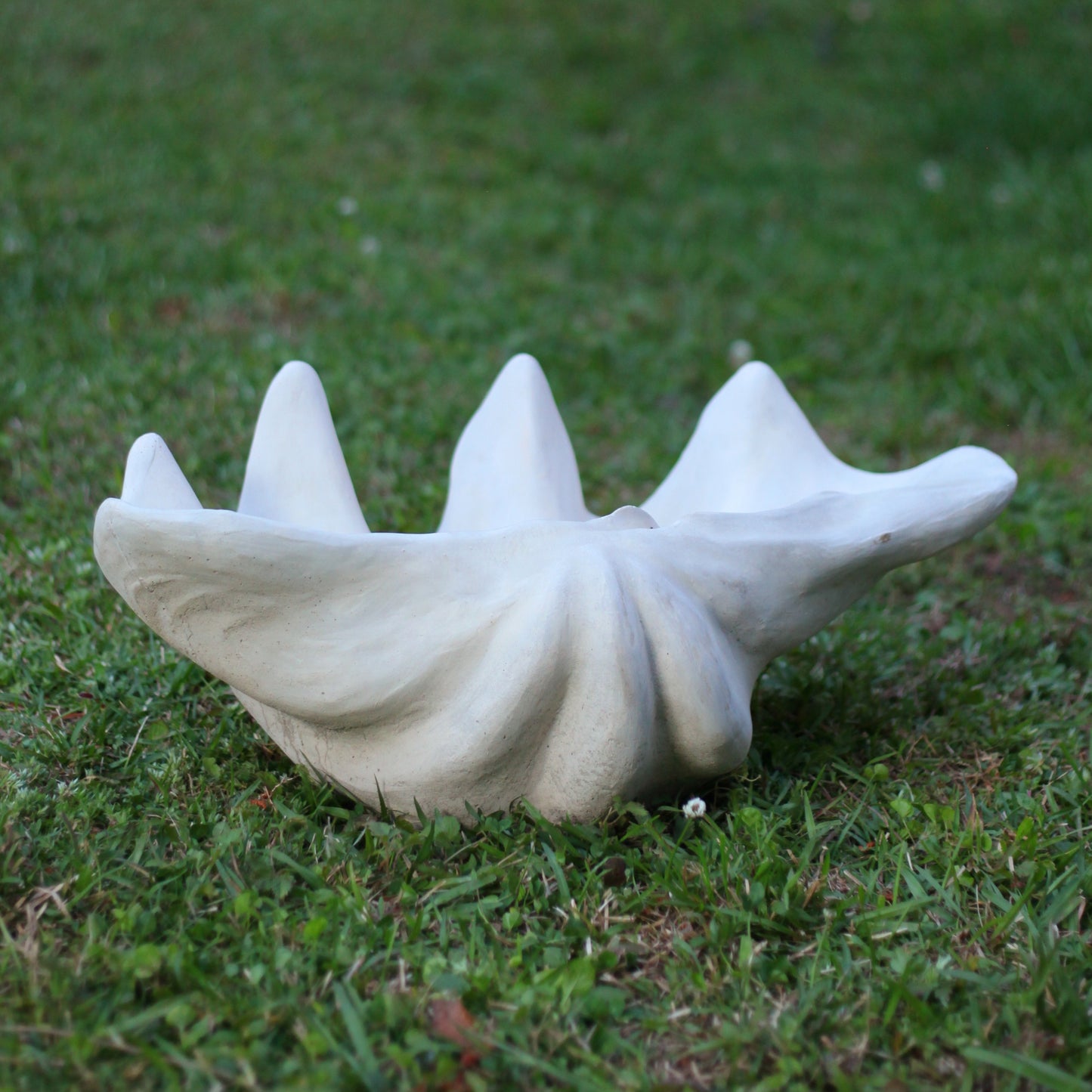 Clam Shell Concrete Planter, XL