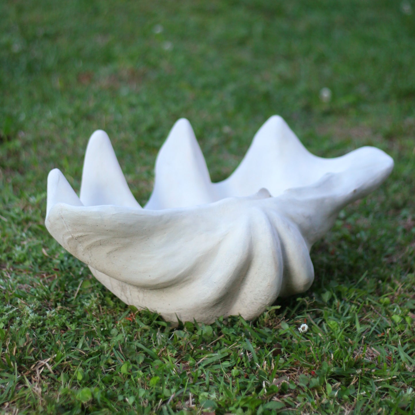 Clam Shell Concrete Planter, XL