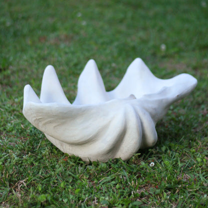 Clam Shell Concrete Planter, XL
