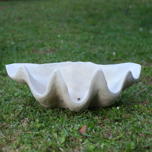 Clam Shell Concrete Planter, XL