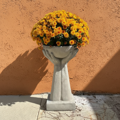 Modern Hand Bowl Concrete Planter