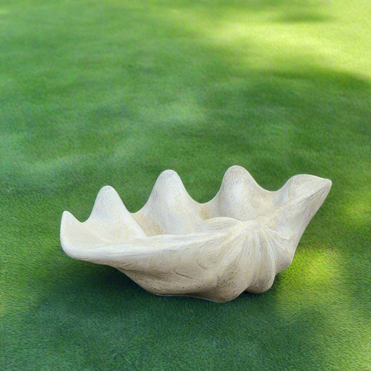 Clam Shell Concrete Planter, Small