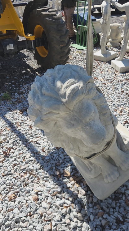 Estate Lions Concrete Statues, Set of 2