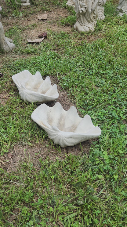 Clam Shell Concrete Planter, Small