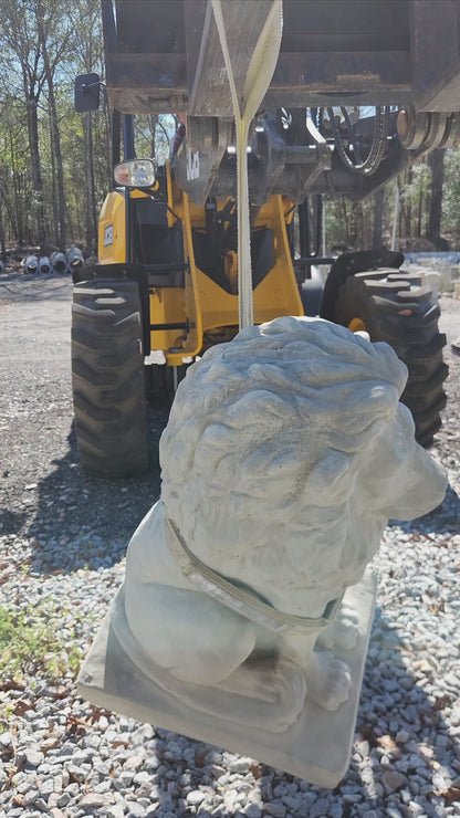 Estate Lions Concrete Statues, Set of 2