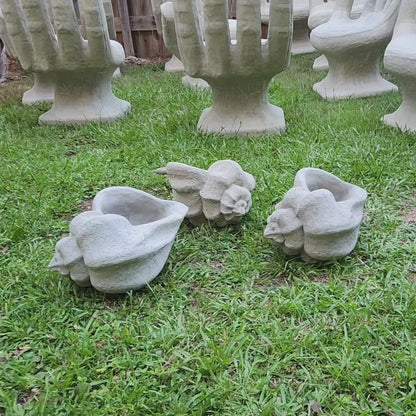Concrete Conch Shell Planter