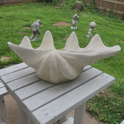 Clam Shell Concrete Planter, XL